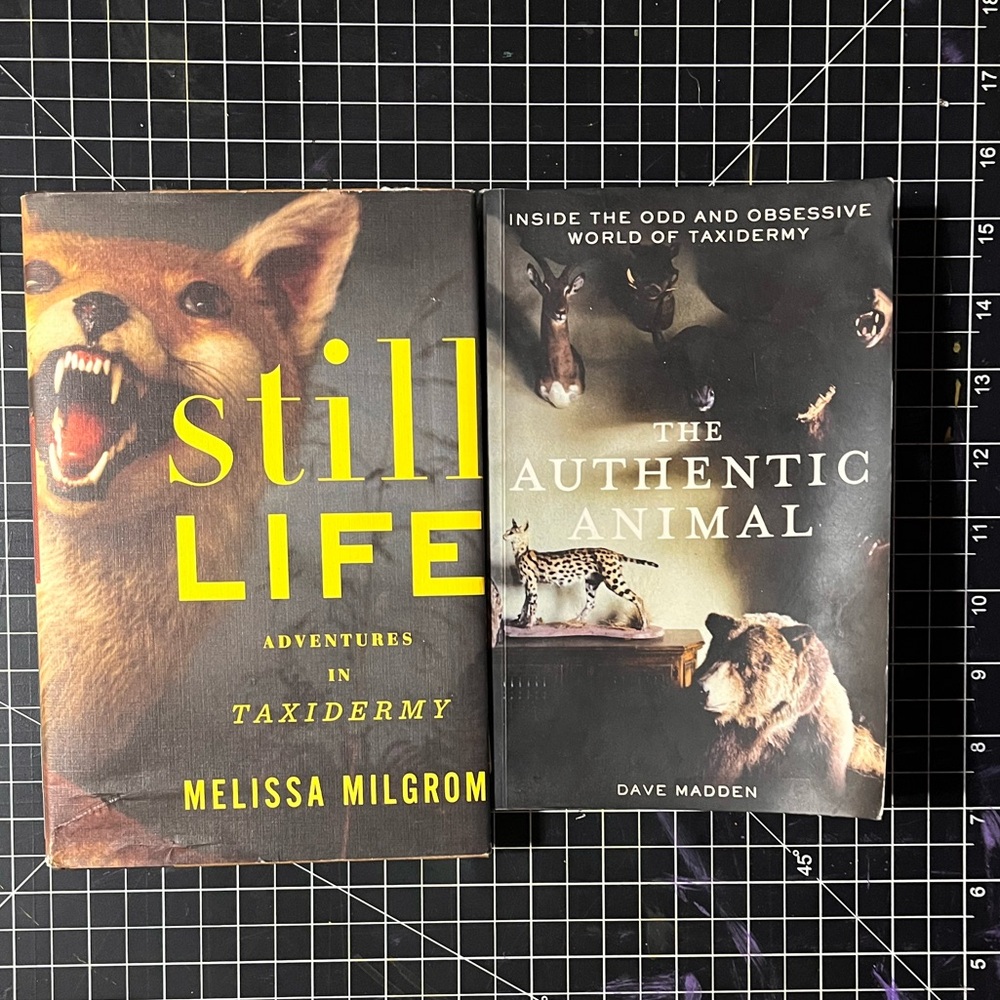 Taxidermy Books - The Authentic Animal Dave Madden - Still Life Milgrom
